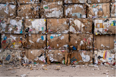 貓先生互聯(lián)網(wǎng)廢品回收加盟，智能收廢品，回收加盟廠家